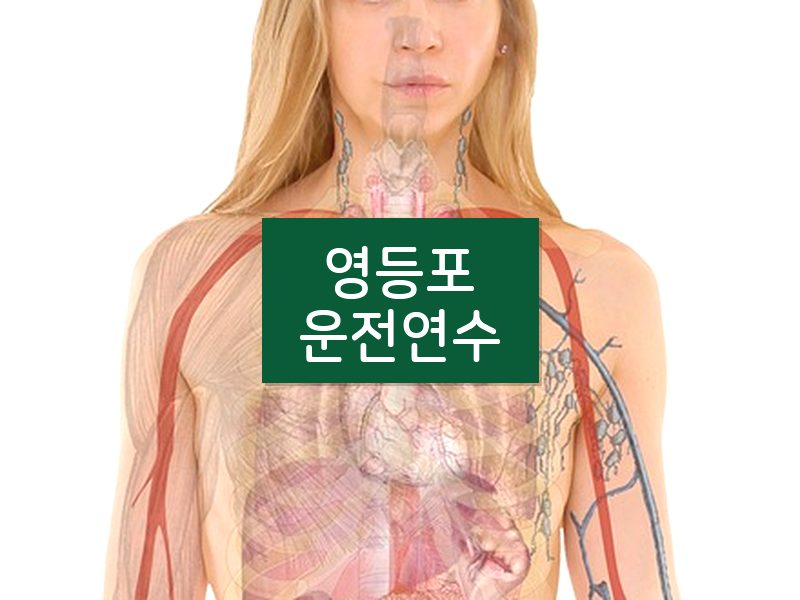 영등포운전연수 후기
