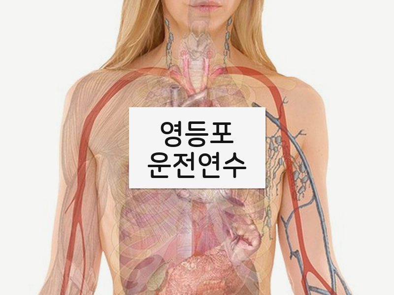 영등포운전연수 후기