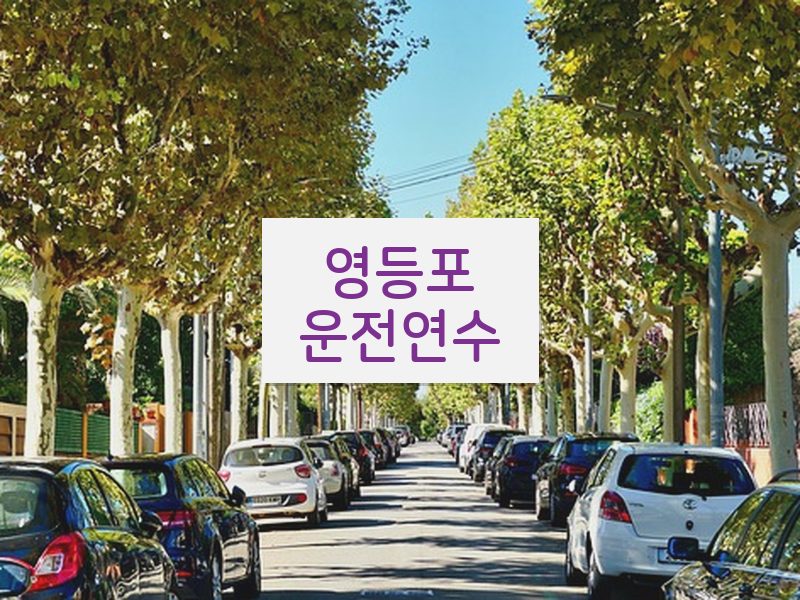 영등포운전연수 후기