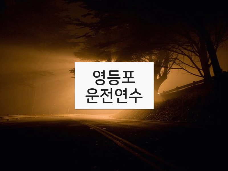 영등포운전연수 후기
