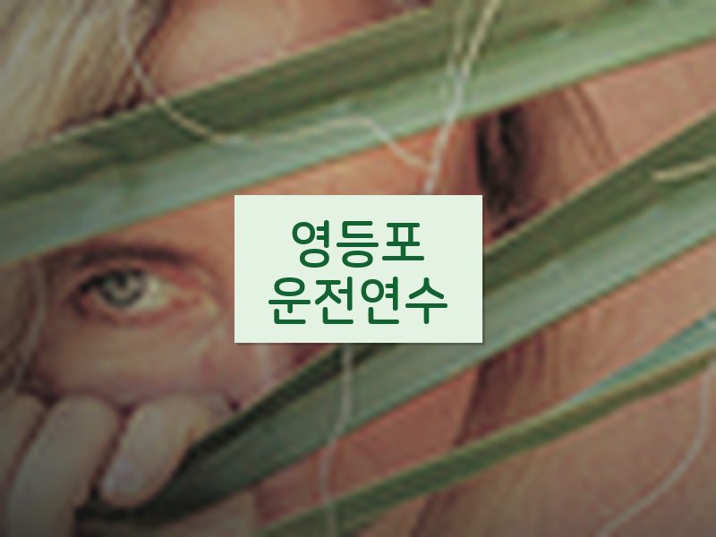 영등포운전연수 후기