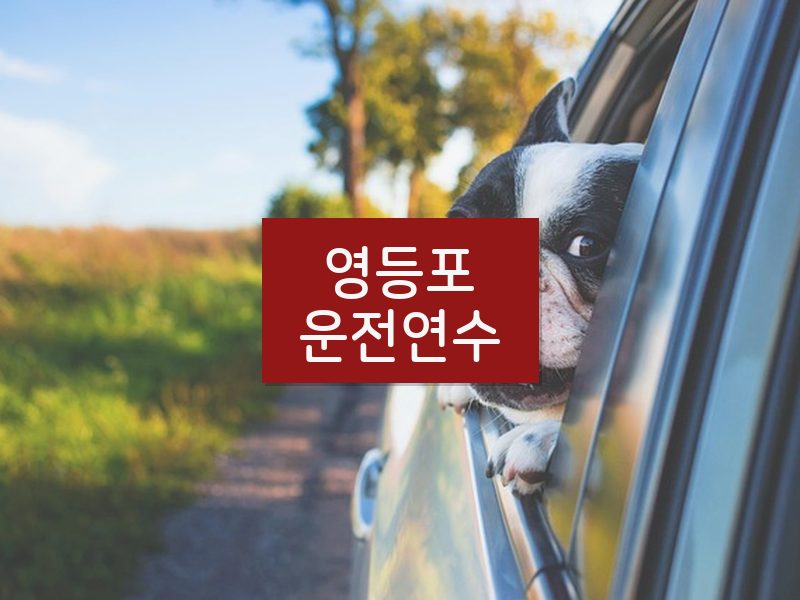 영등포운전연수 후기