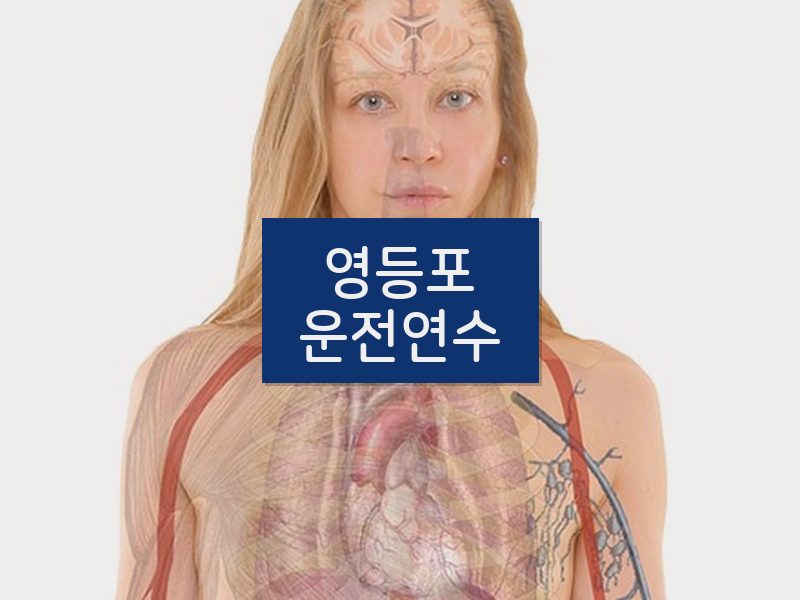 영등포운전연수 후기