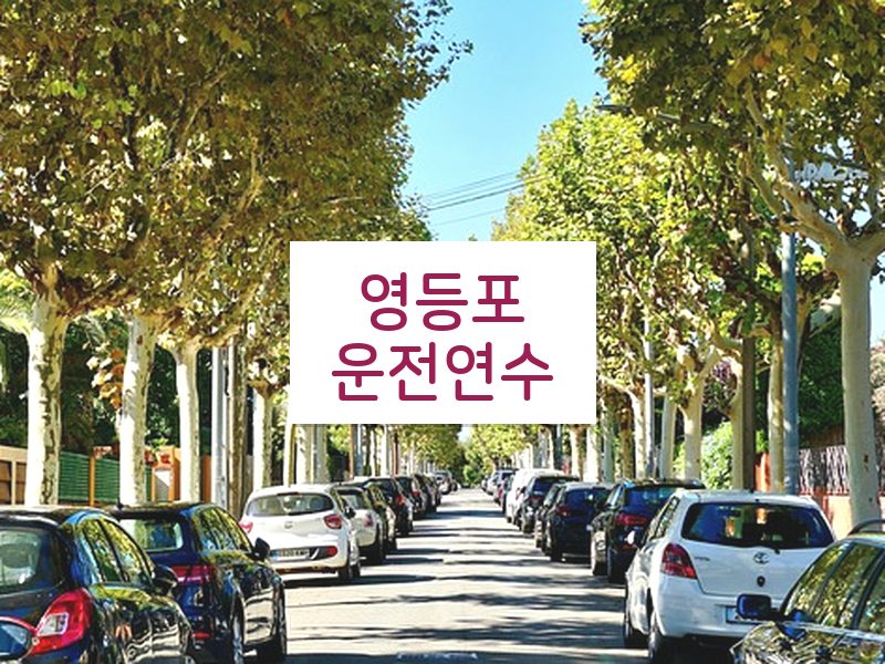 영등포운전연수 후기