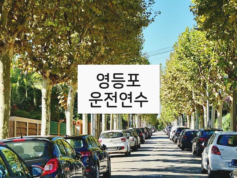 영등포운전연수 후기
