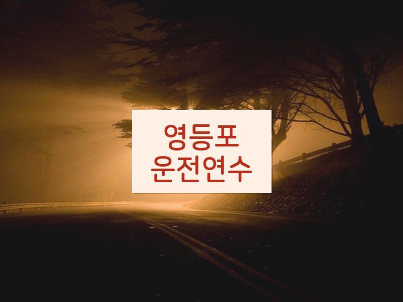 영등포운전연수 후기