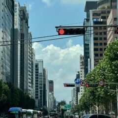 택시 이용보다 편한 운전 후기 이미지