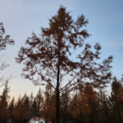 후진주차 이제 완전 정복했어요! 후기 이미지