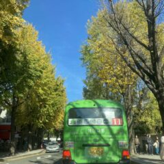 비나 눈 속 운전 연습 후기 이미지