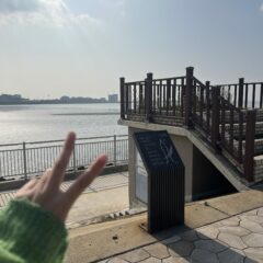 밀집 주차장 쓰러지던 걸 안 외웠어요 후기 이미지