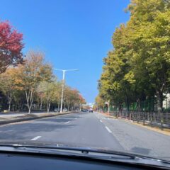 야간 운전은 무서워요 후기 이미지