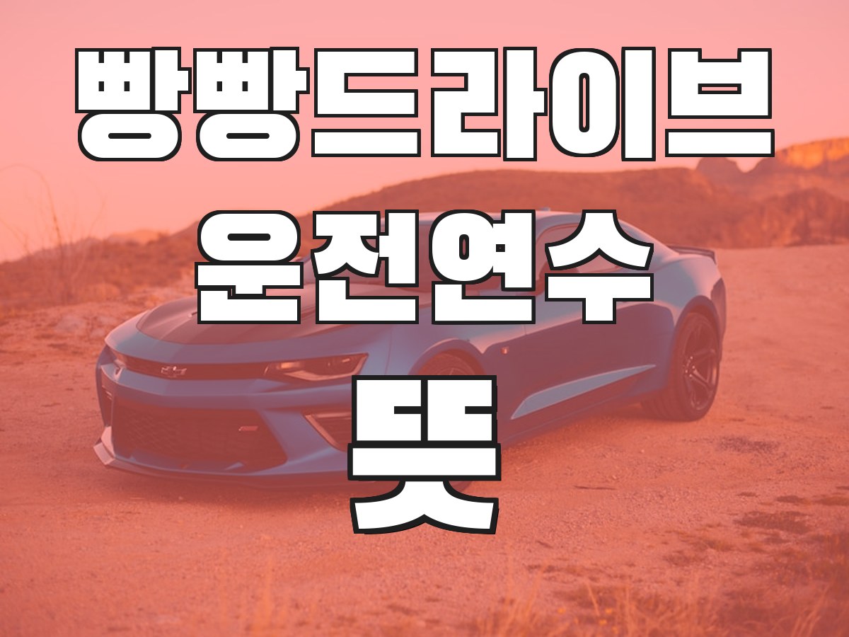 빵빵드라이브 운전연수 뜻 - 운전연수의 의미와 필요성