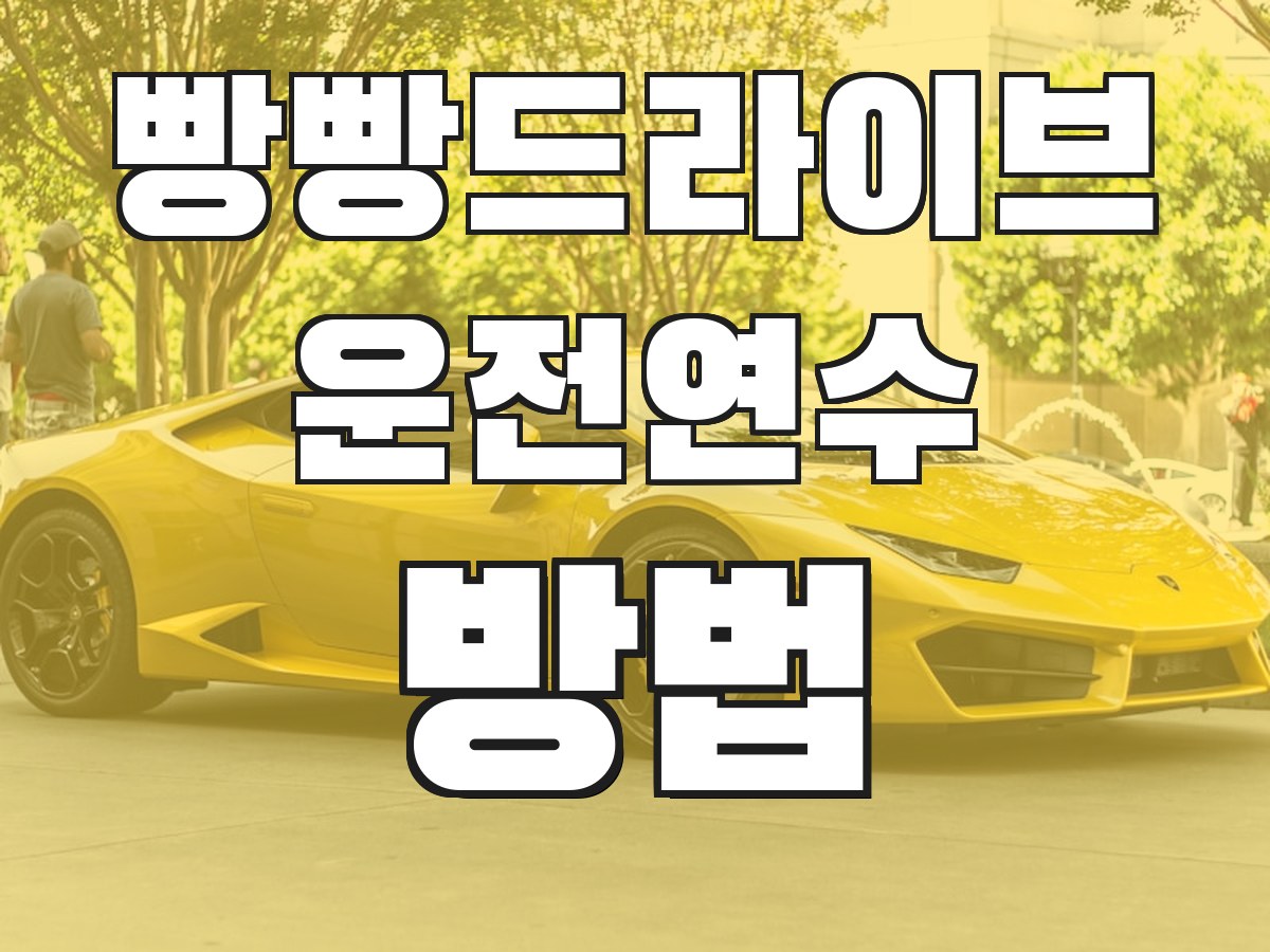 빵빵드라이브 운전연수 방법 - 연수 진행 과정 안내