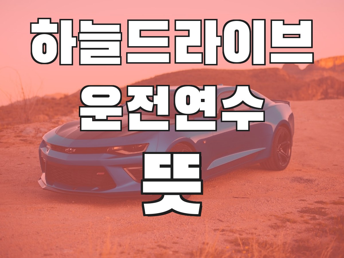 하늘드라이브 운전연수 뜻 - 운전연수의 의미와 필요성