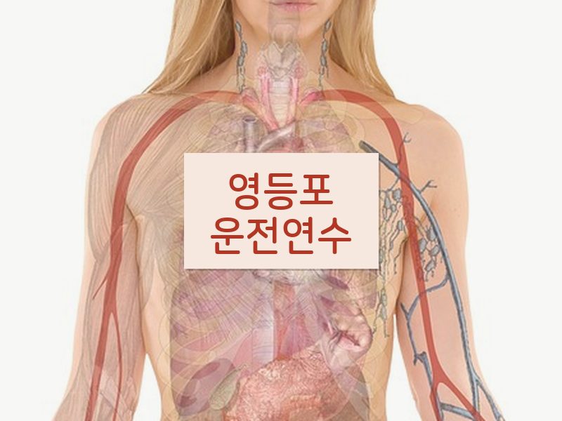 영등포운전연수 후기