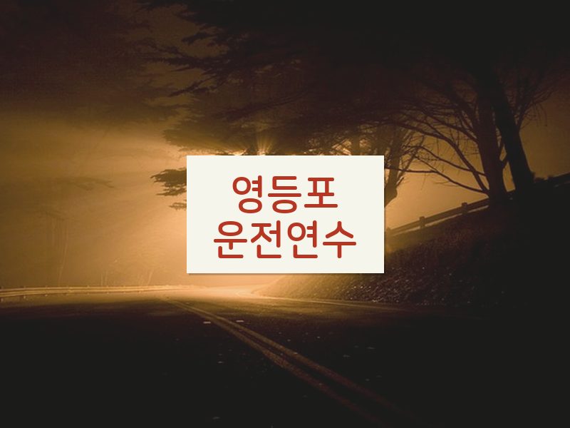 영등포운전연수 후기