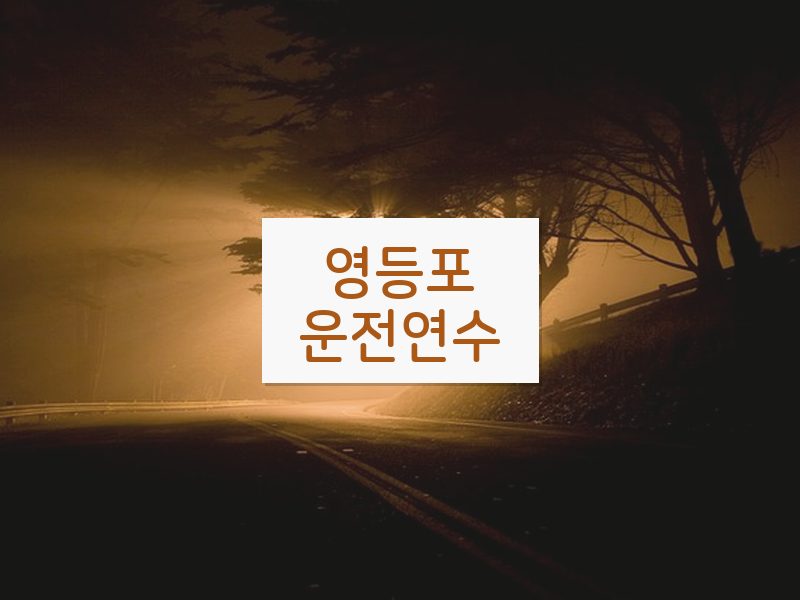영등포운전연수 후기